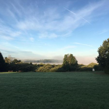 Gasthof Zum Seeweiher Hotel Dreifelden Eksteriør billede